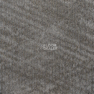 Ковровая плитка Art Exposure Коллекция Academic View Academic View 958 фото 1 | FLOORDEALER